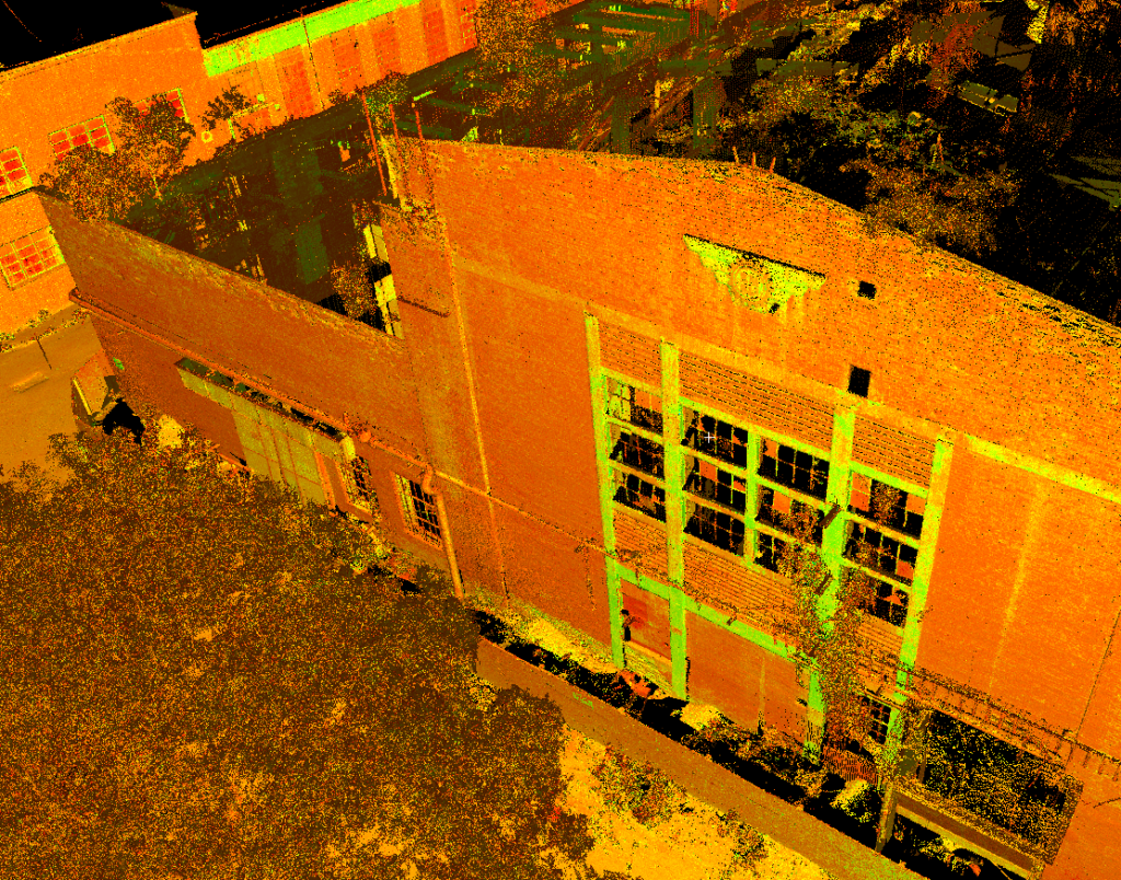 Ursus5