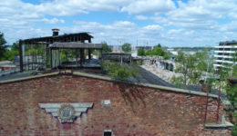 Ursus6